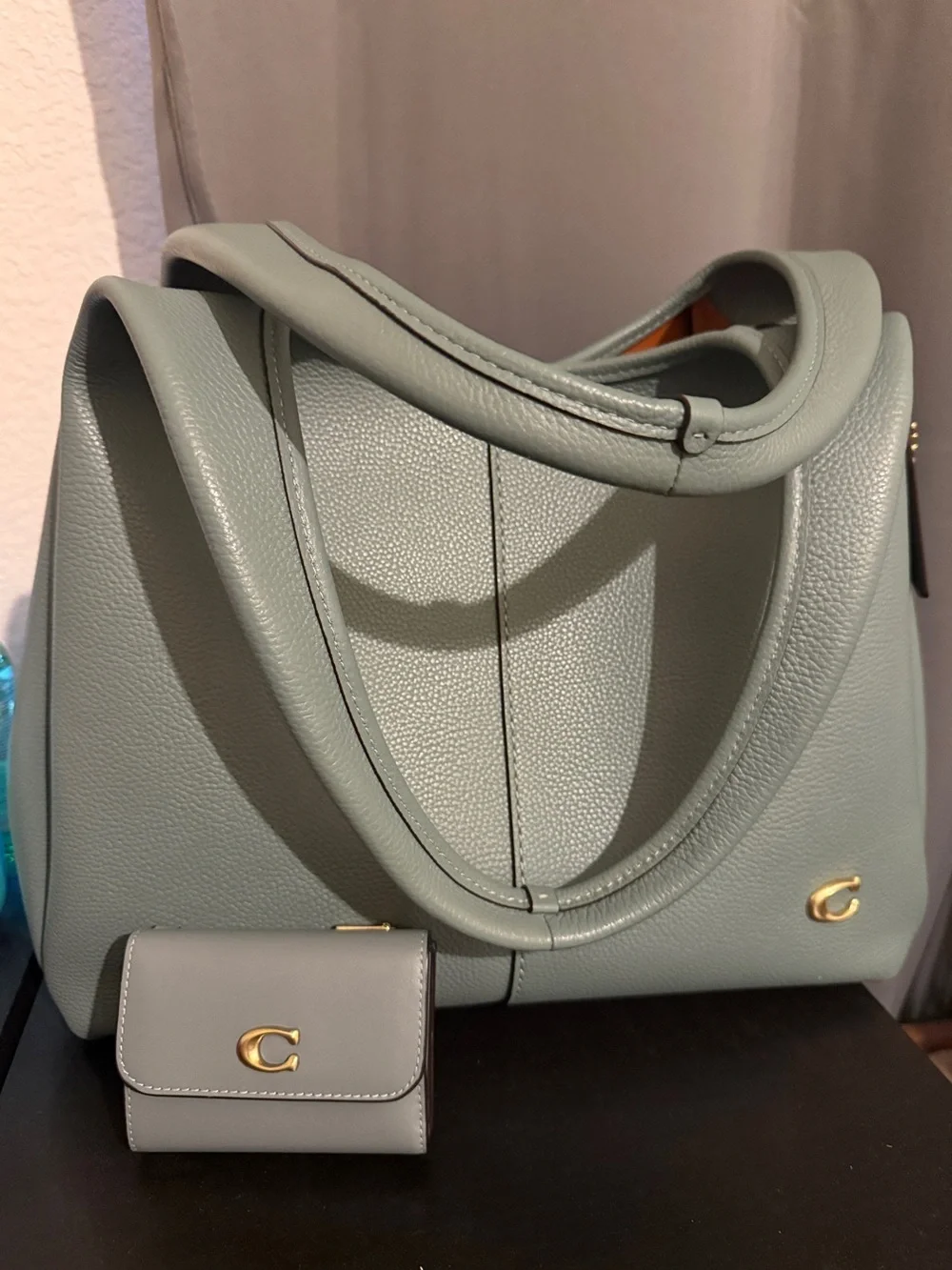 Coach Large Lana Bag in Sage